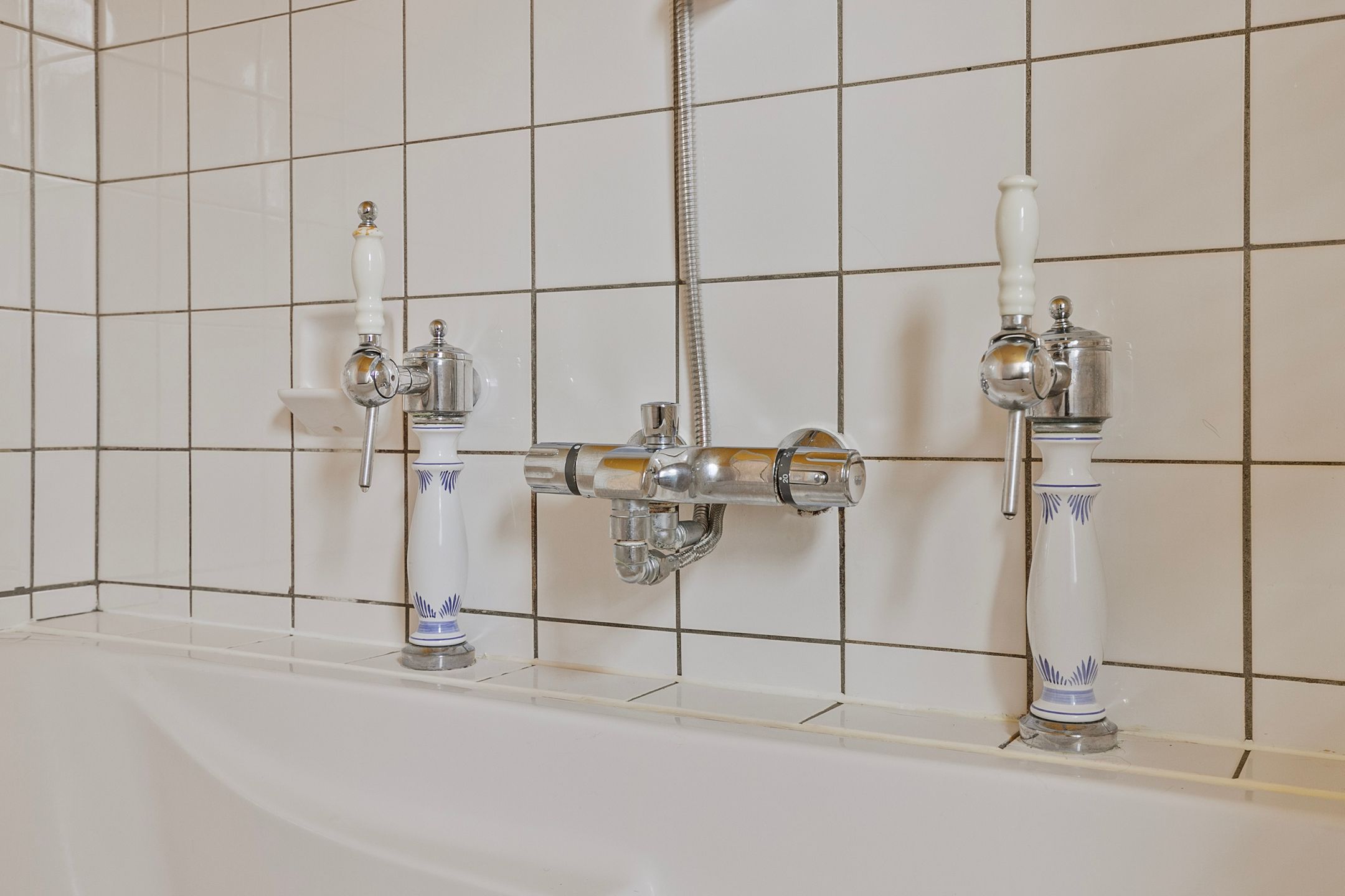 Foto 24 van Boterbloem 16