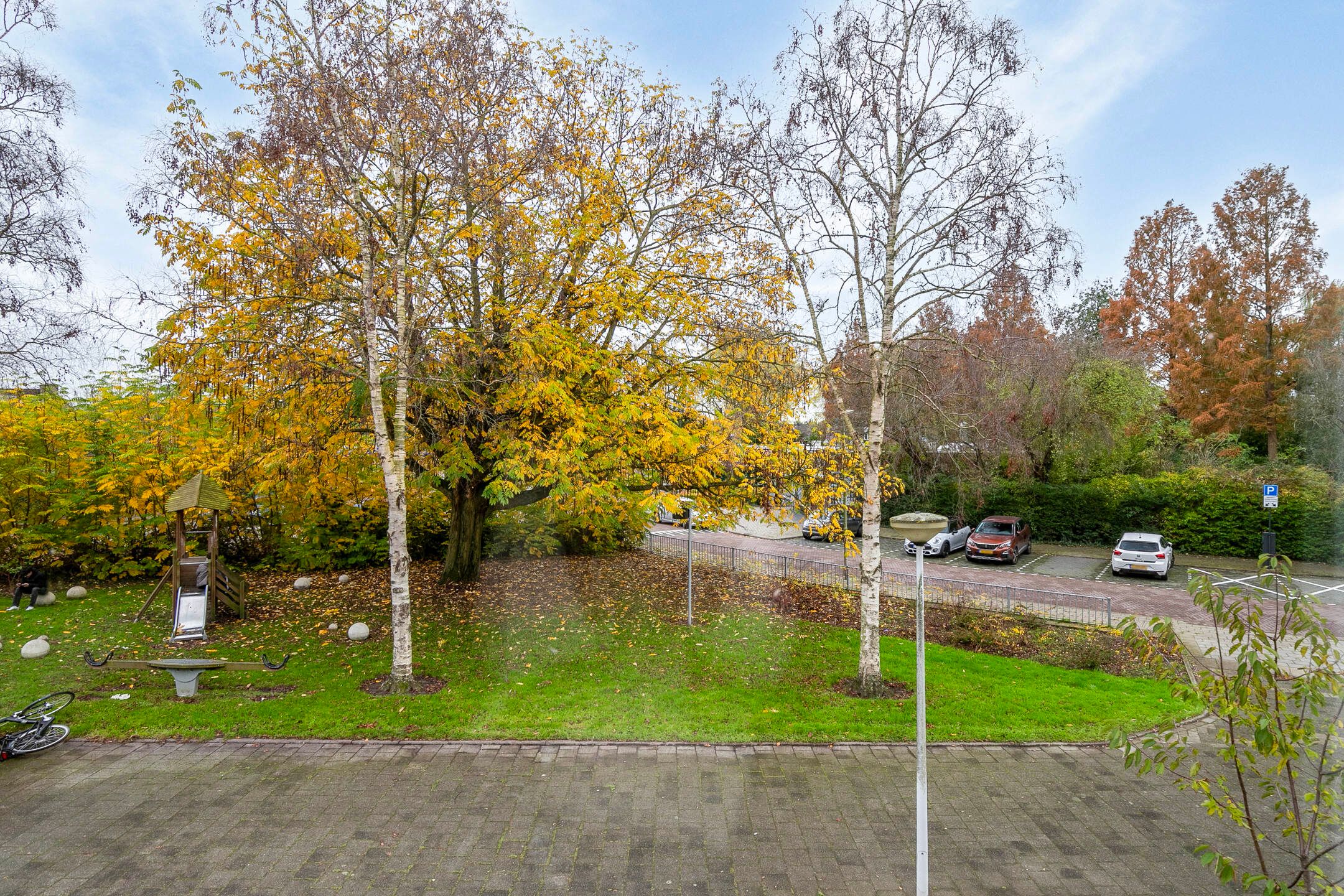 Foto 39 van Boterbloem 16