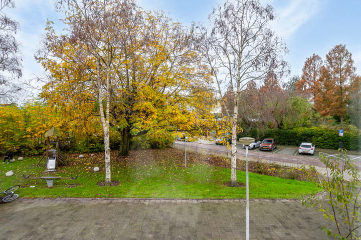 Foto 39 van Boterbloem 16