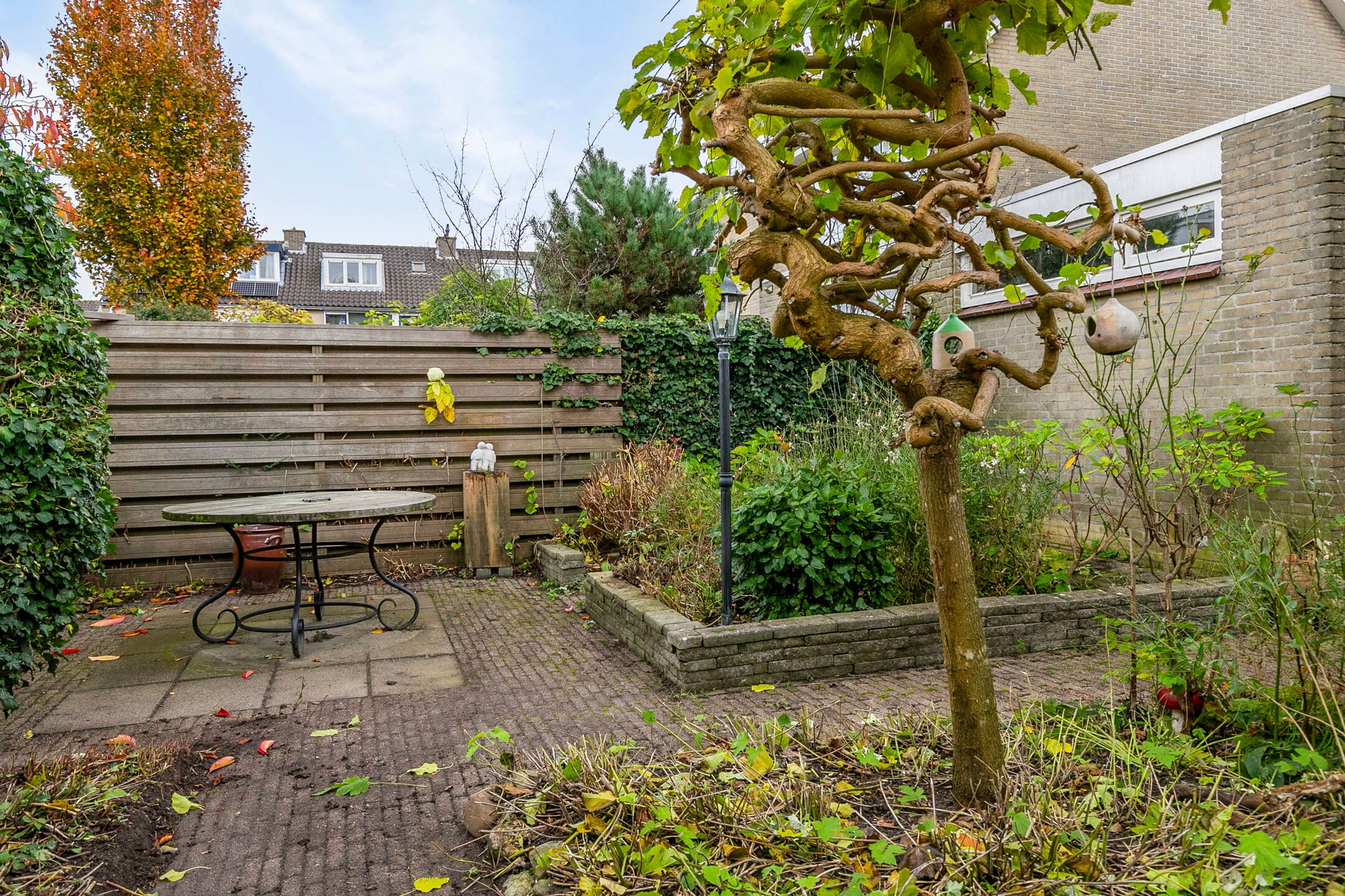 Foto 42 van Boterbloem 16