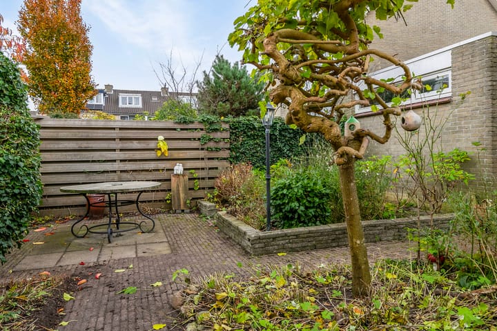 Foto 42 van Boterbloem 16