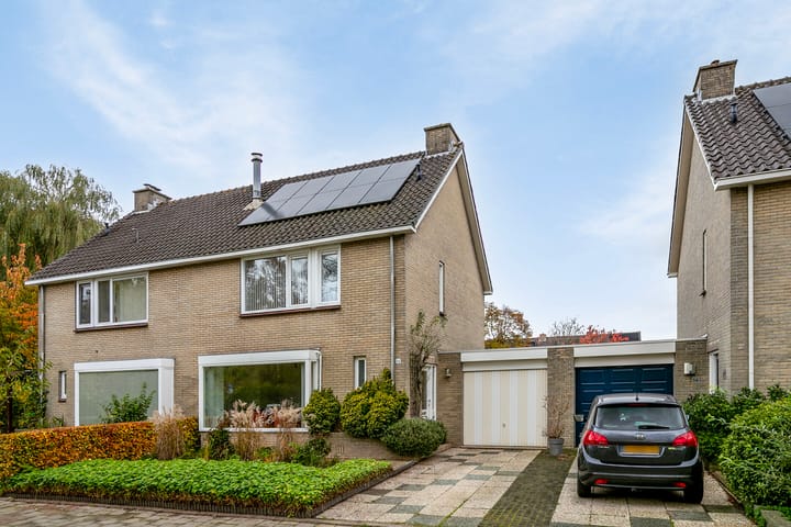 Foto 47 van Boterbloem 16