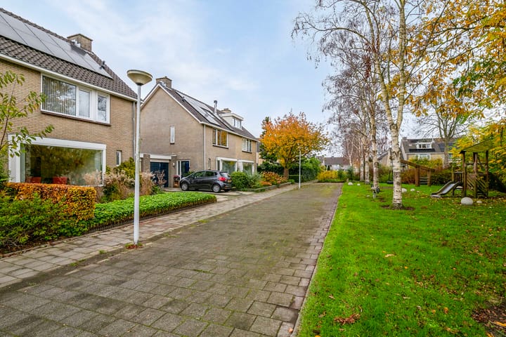 Foto 49 van Boterbloem 16