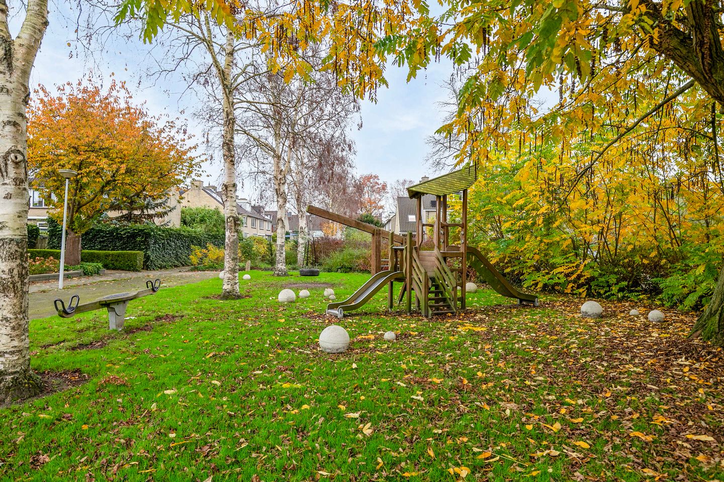 Foto 50 van Boterbloem 16