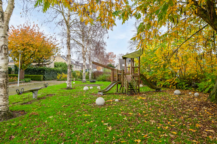 Foto 50 van Boterbloem 16