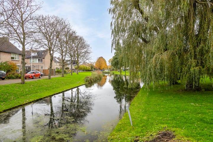 Foto 51 van Boterbloem 16