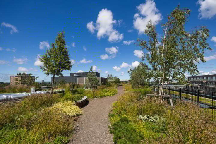 Foto 32 van Sint Maartenpad 7