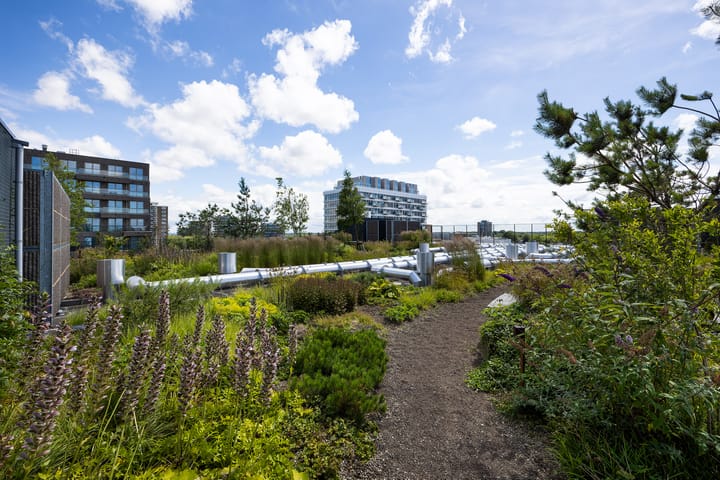 Foto 33 van Sint Maartenpad 7