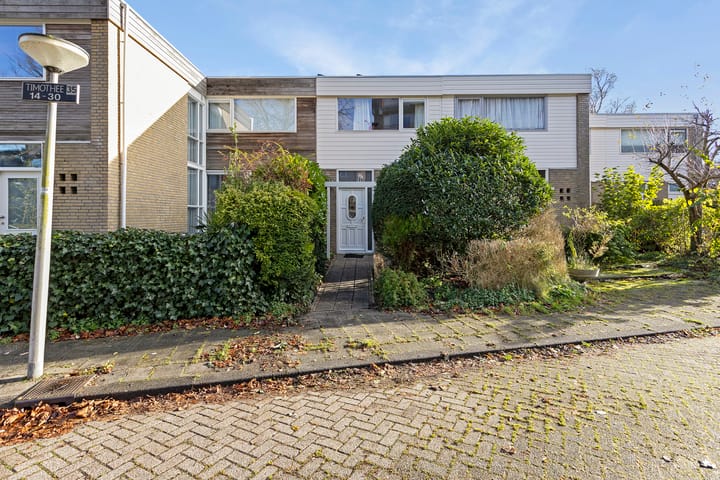 Foto 6 van Timothee 28