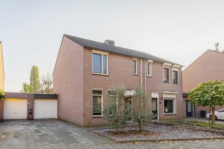 Foto 1 van Boterbloem 32