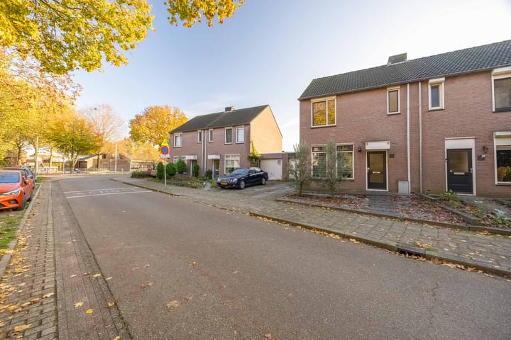 Foto 2 van Boterbloem 32