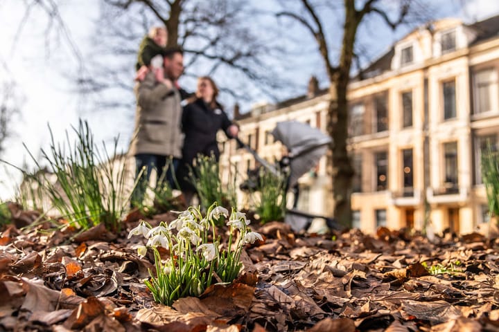 A promotional picture for the office