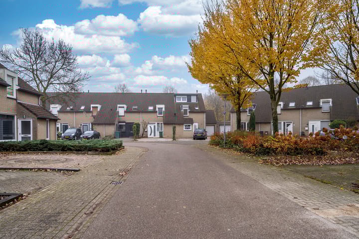 Foto 46 van Duindoornstraat 16