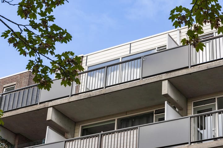 Foto 13 van Appelvink 52