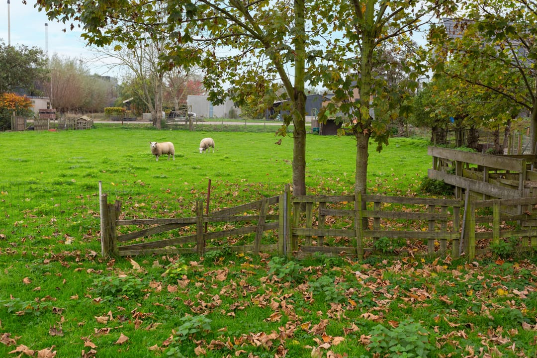 Foto 43 van Zwethkade Zuid 12