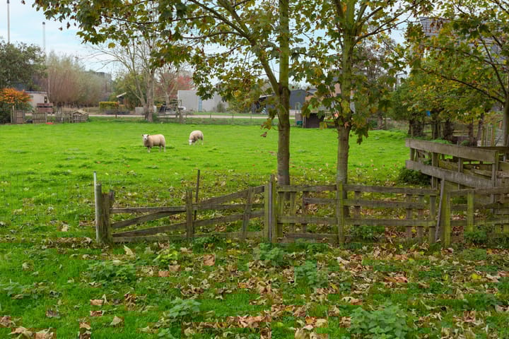 Foto 43 van Zwethkade Zuid 12