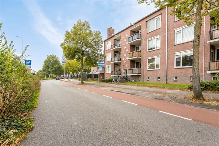 Bekijk foto 32 van Jeroen Boschlaan 216