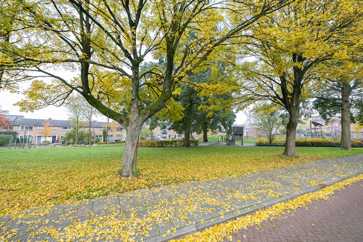 Bekijk foto 30 van Larixstraat 38