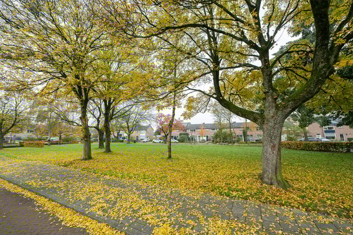 Foto 31 van Larixstraat 38