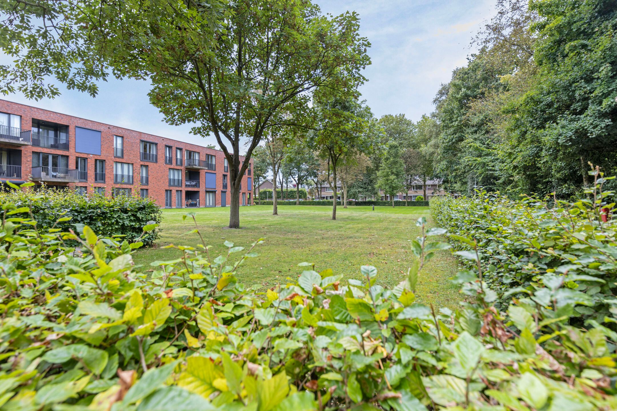 Photo 39 of Tjalkstraat 6