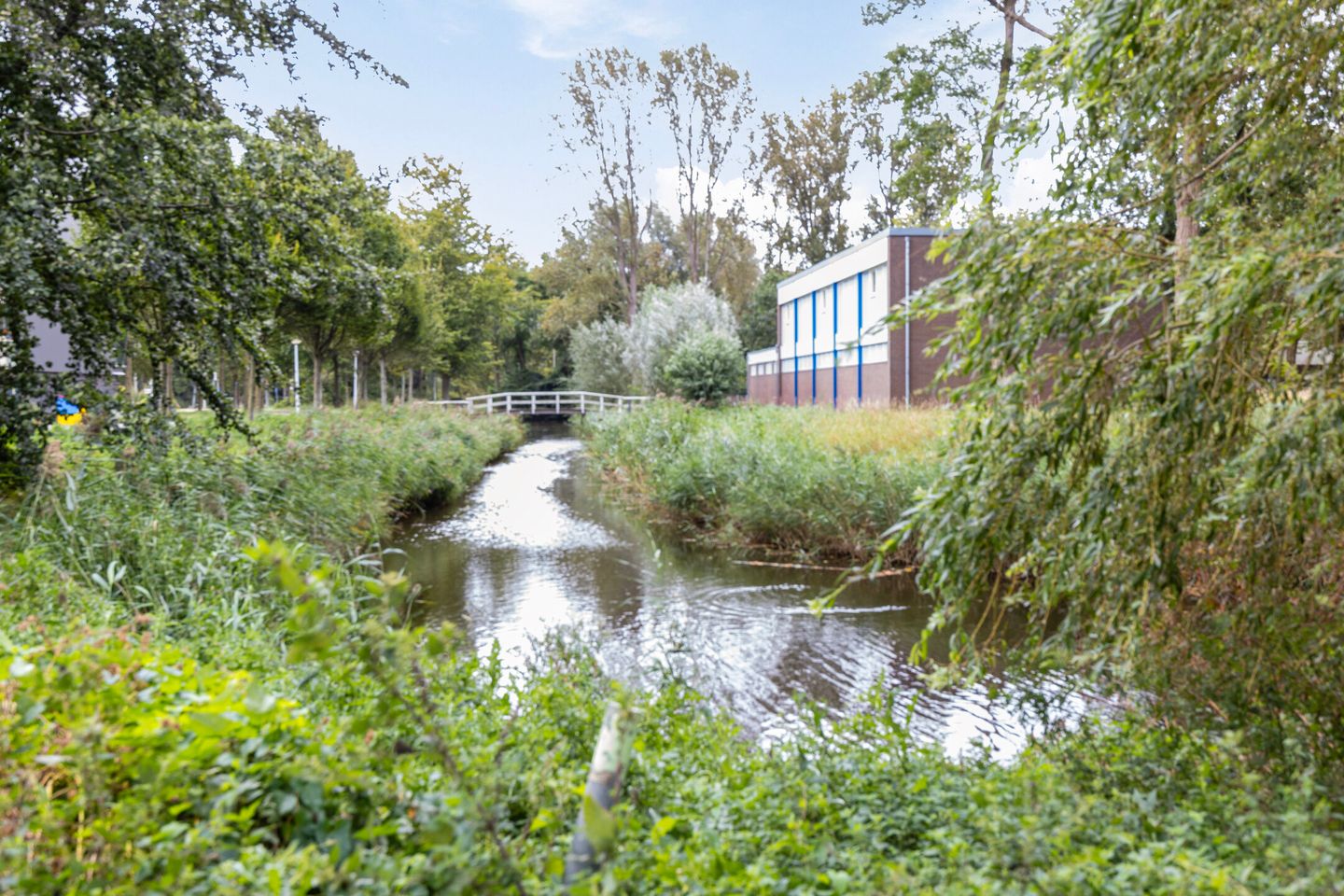 Photo 40 of Tjalkstraat 6