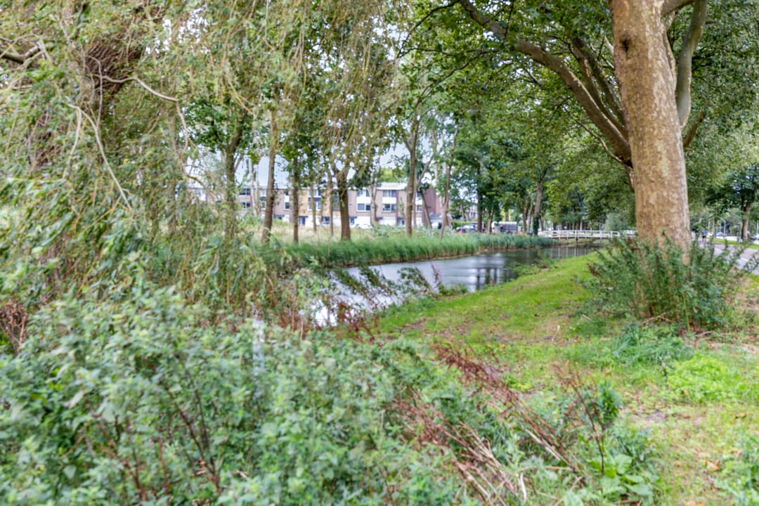 Photo 41 of Tjalkstraat 6