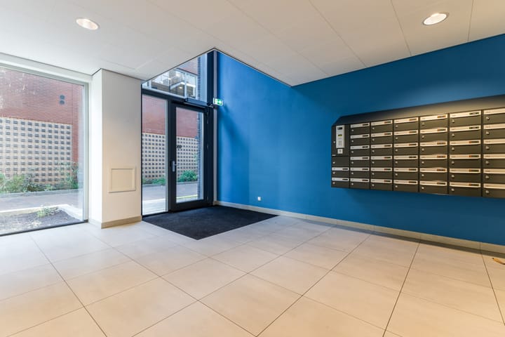 Foto 22 van Lapis Lazuli 148