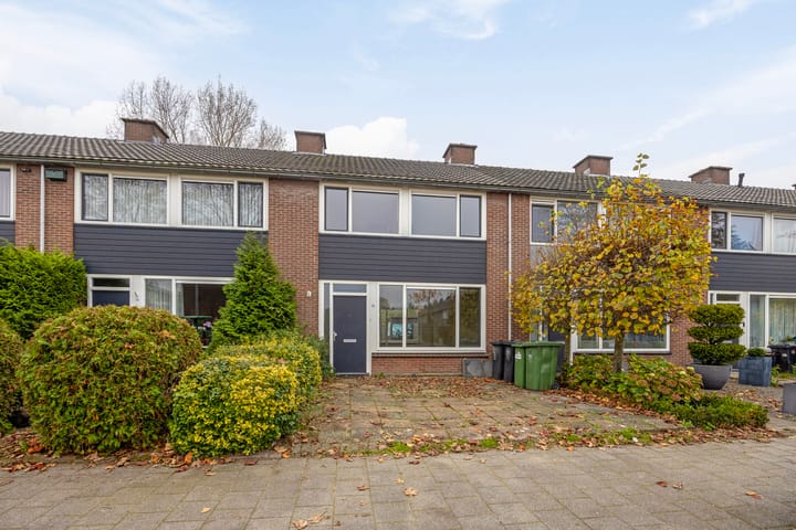 Foto 1 van Rijstgras 16