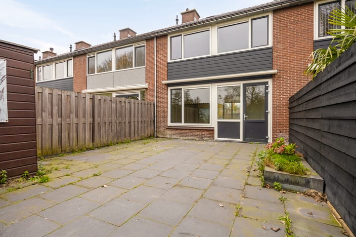 Foto 10 van Rijstgras 16