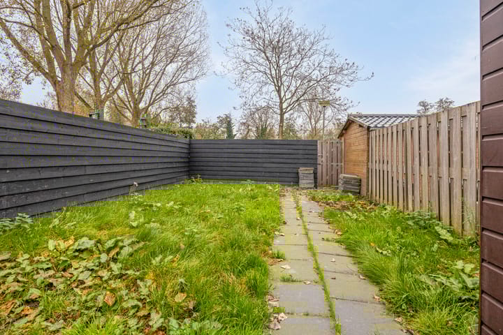 Foto 11 van Rijstgras 16