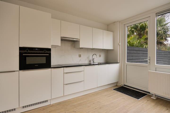 Foto 16 van Rijstgras 16