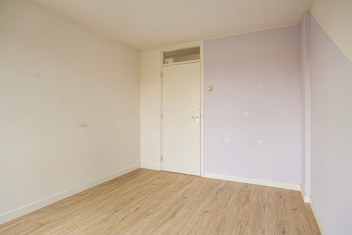 Foto 20 van Rijstgras 16