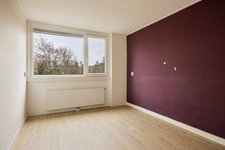 Foto 21 van Rijstgras 16