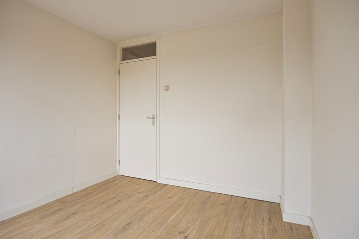 Foto 24 van Rijstgras 16