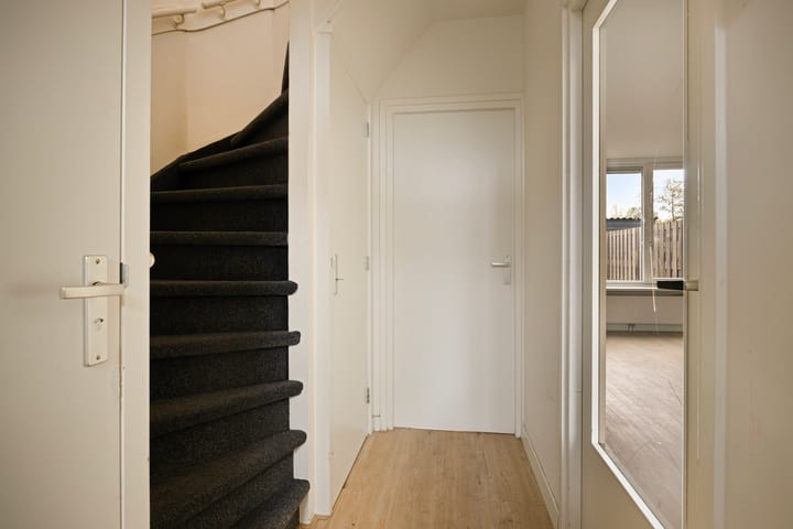 Foto 30 van Rijstgras 16