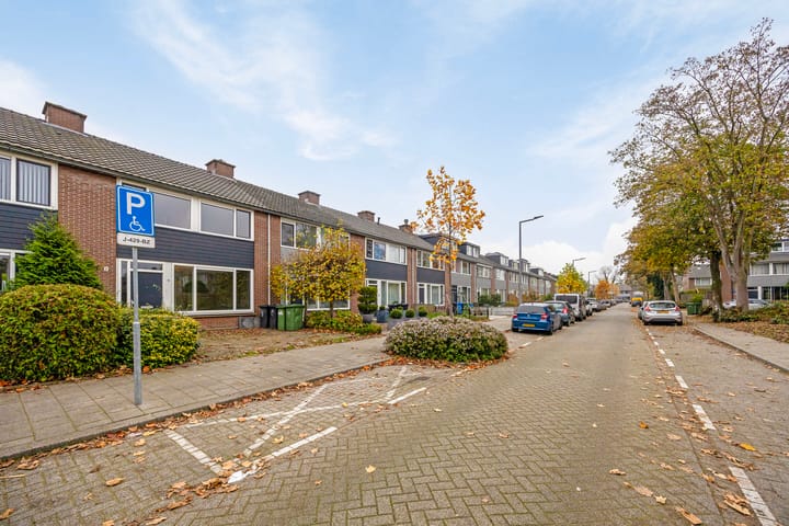 Foto 31 van Rijstgras 16