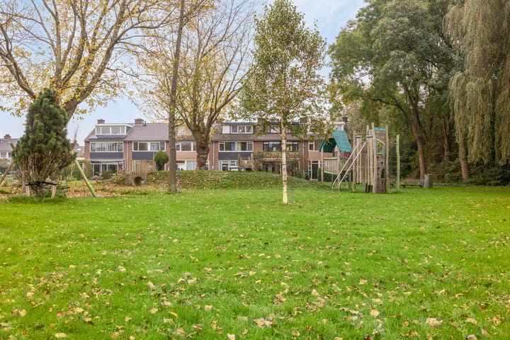 Foto 32 van Rijstgras 16