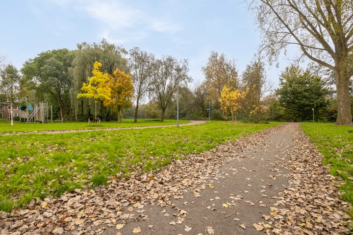 Foto 34 van Rijstgras 16