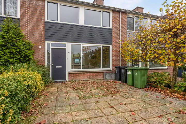 Foto 35 van Rijstgras 16