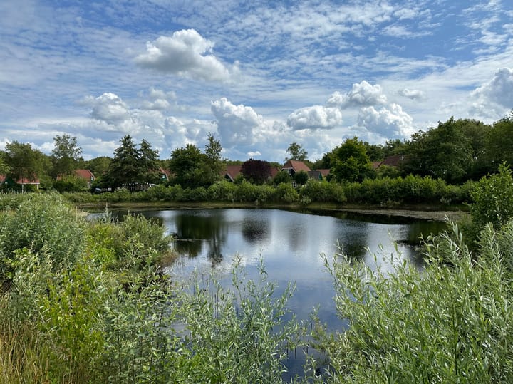 Foto 18 van Hunerwold State 55