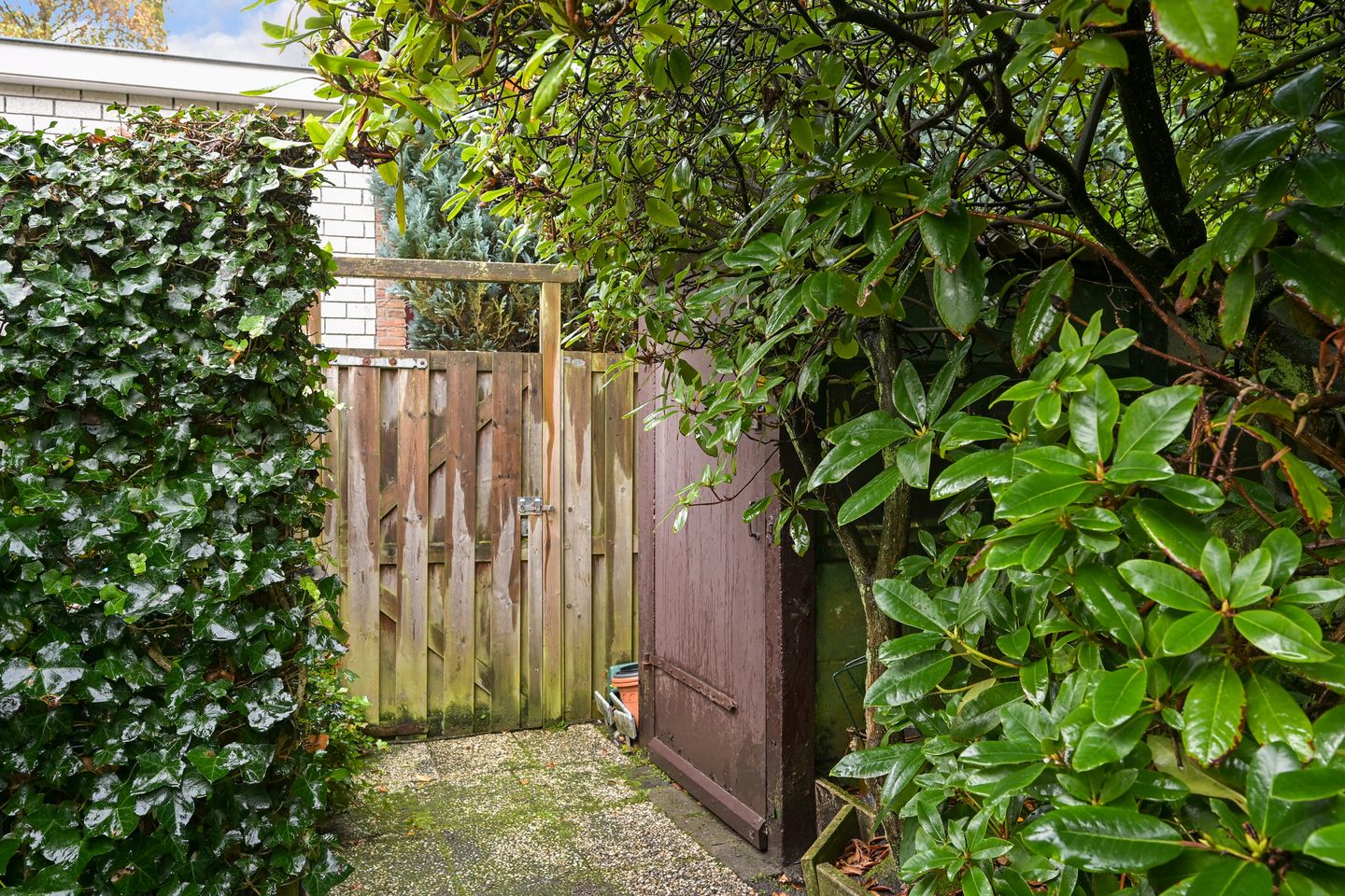 Foto 20 van Storm van 's-Gravesandeweg 15