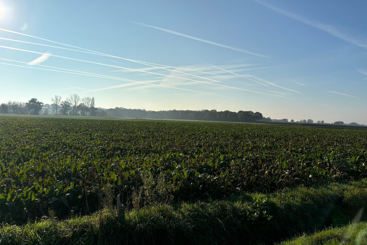 Bekijk foto 1 van Cultuurgrond Veldbraak