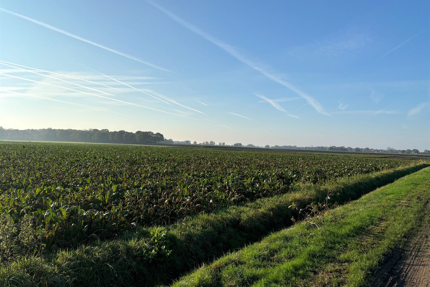 Bekijk foto 4 van Cultuurgrond Veldbraak