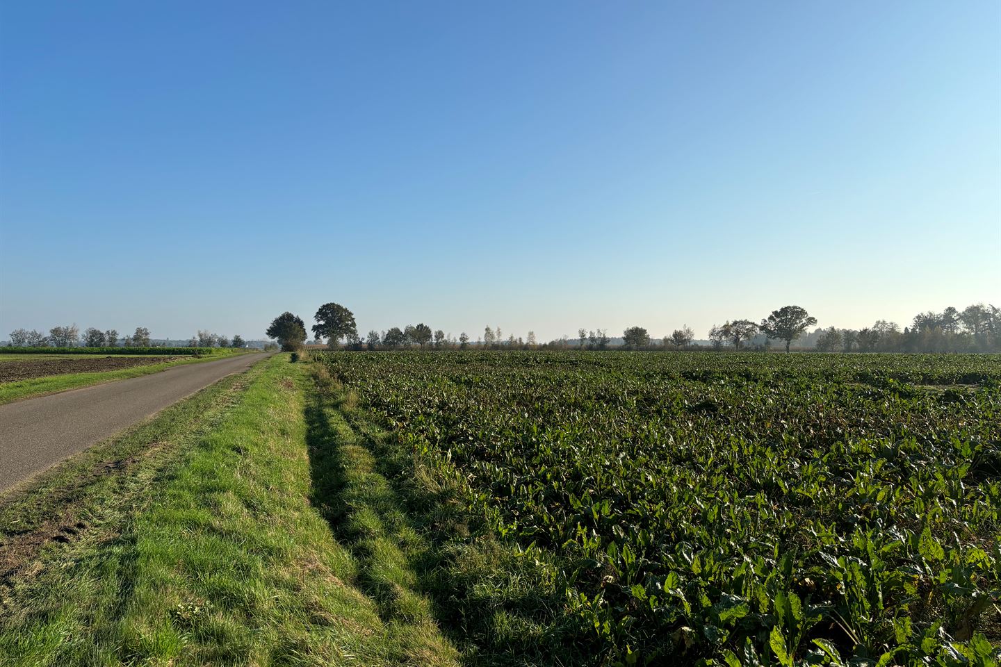 Bekijk foto 3 van Cultuurgrond Veldbraak