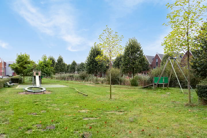 Photo 37 of Baak van Cadzand 10