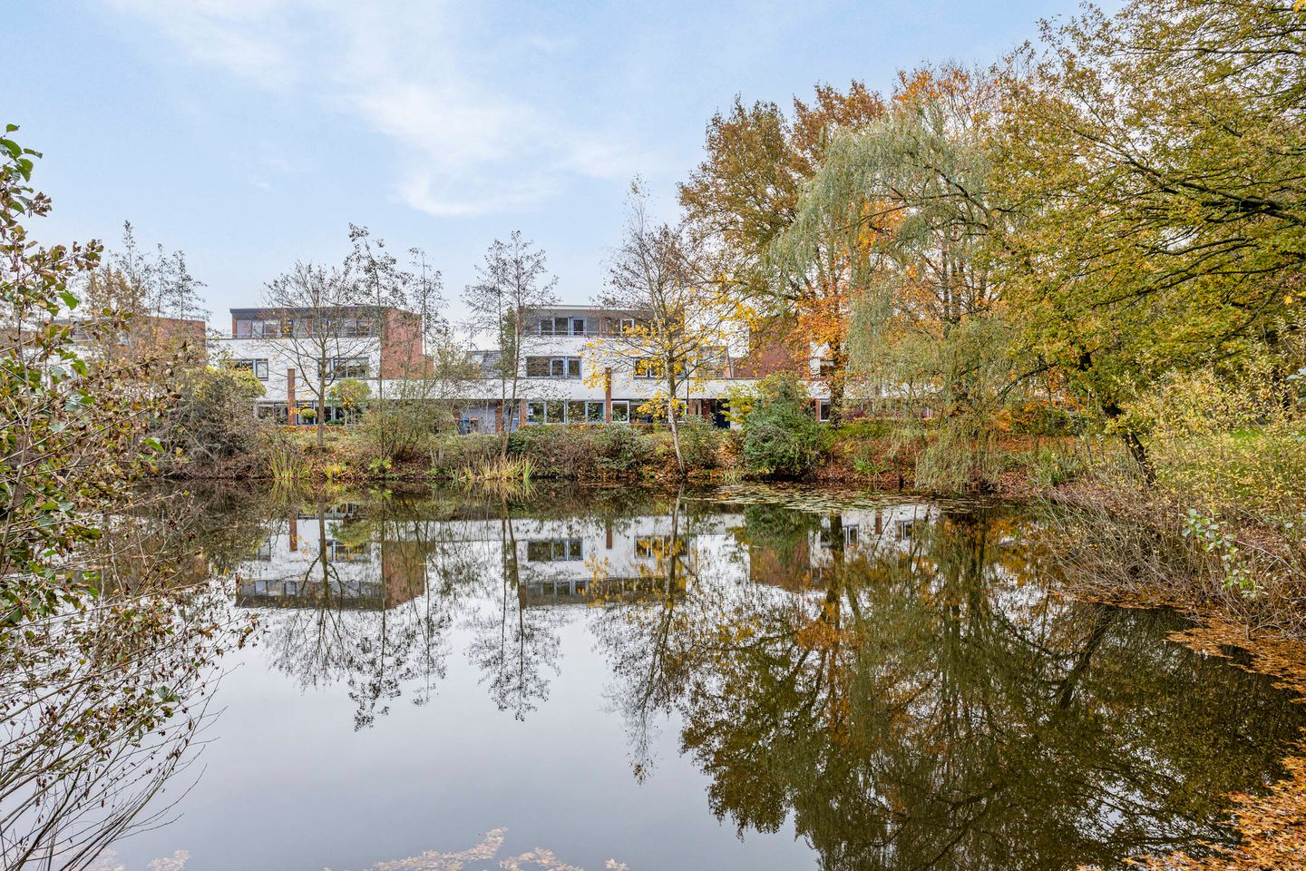 Foto 4 van Schiestraat 36