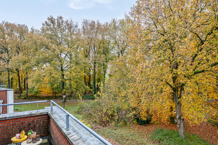 Photo 41 of Schiestraat 36