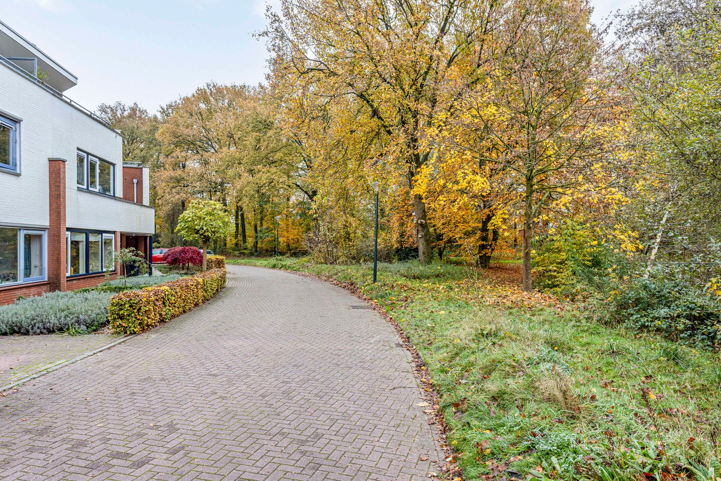 Foto 44 van Schiestraat 36