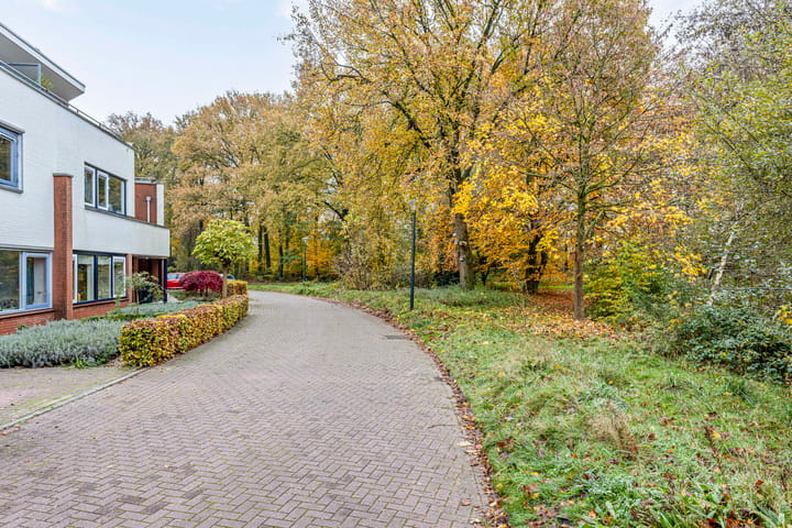 Photo 44 of Schiestraat 36