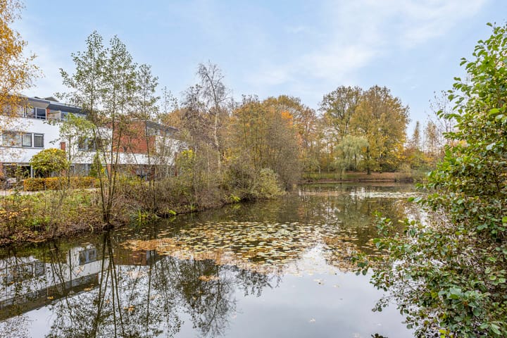 Photo 45 of Schiestraat 36